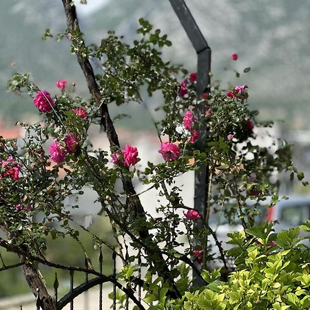 Ms Apartment Mostar Luaran gambar
