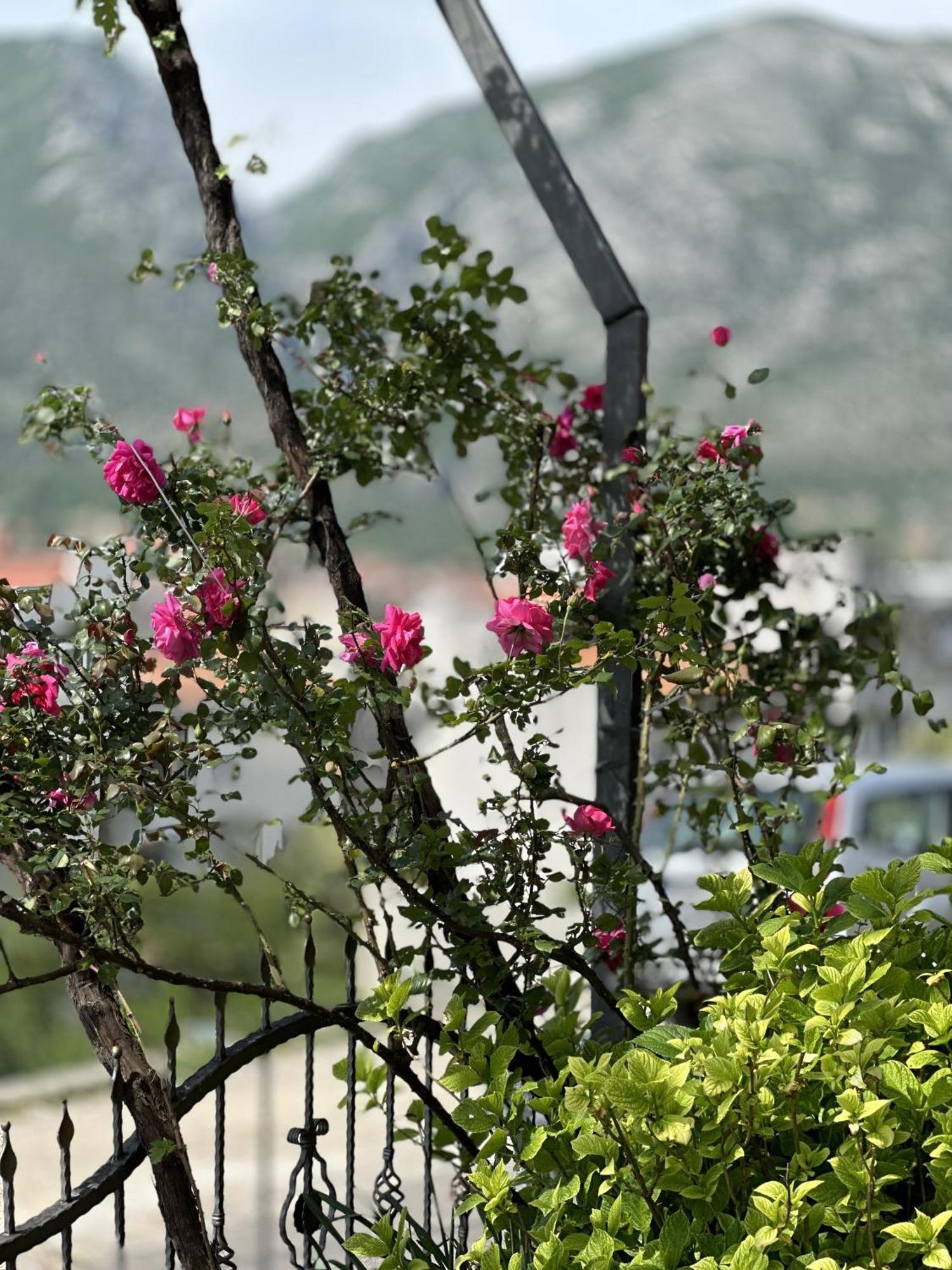 Ms Apartment Mostar Luaran gambar